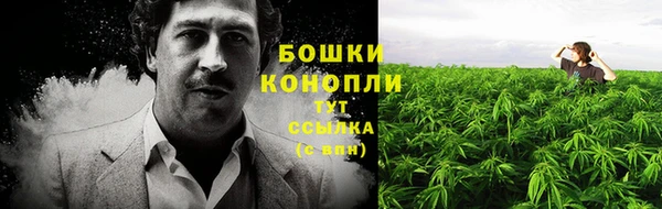 ECSTASY Медвежьегорск